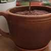 Clay Mug