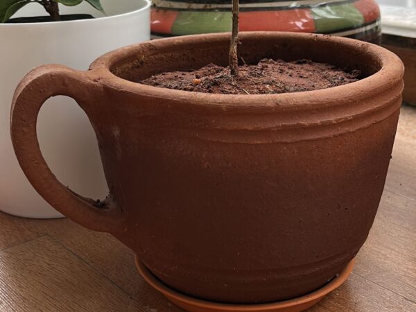 Clay Mug