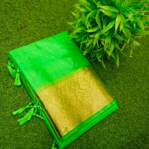 Elegant Handcrafted Green Maslin Organza Saree with Golden Zari Border & Matching Blouse Piece – Free Size