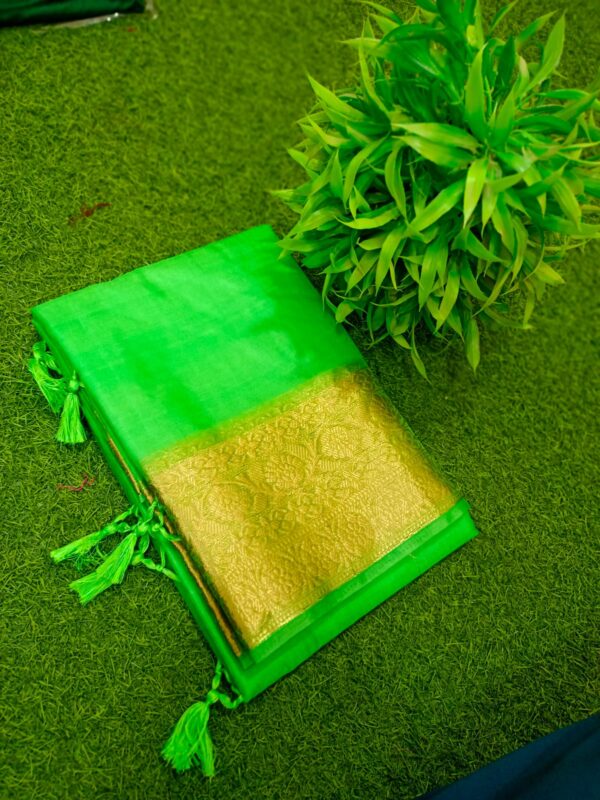 Elegant Handcrafted Green Maslin Organza Saree with Golden Zari Border & Matching Blouse Piece – Free Size