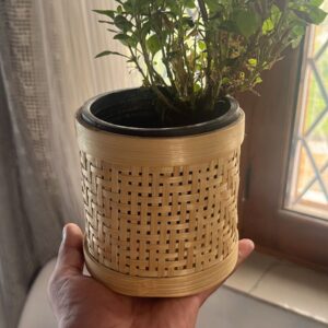 Handcrafted Bamboo Woven Planter Pot | Natural Decor for Indoor Plants (4x4 inches)