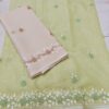 Pastel Green Hand Embroidered Floral Vine Kota Doria Saree with Contrast Beige Running Blouse